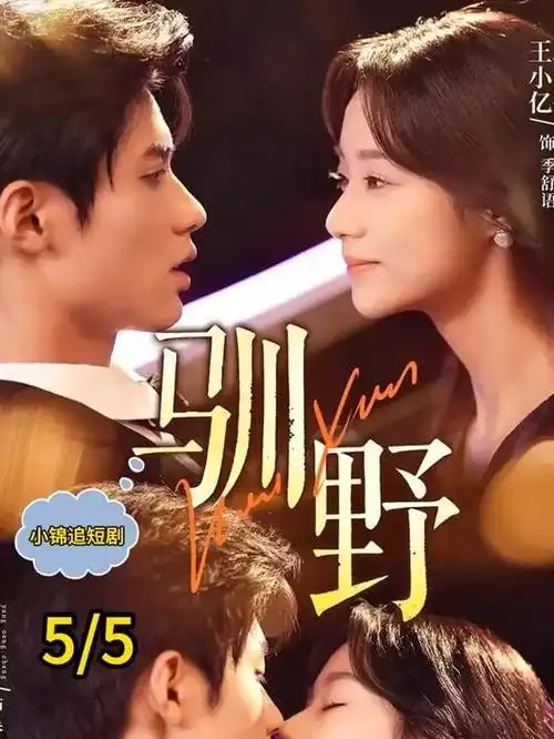 雾港迷踪 热播电视剧全集免费观看